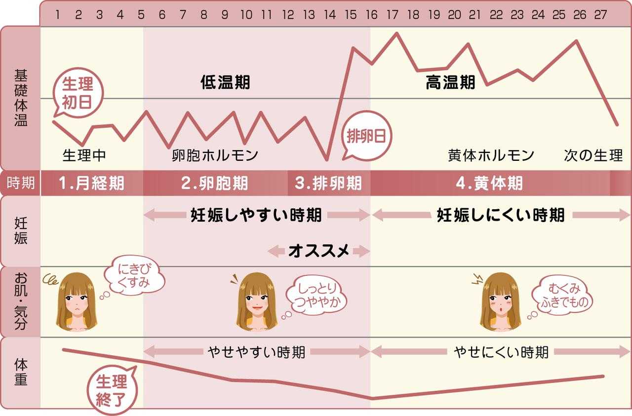 妊娠してる 妊娠時の基礎体温変化とグラフ ニュースパス