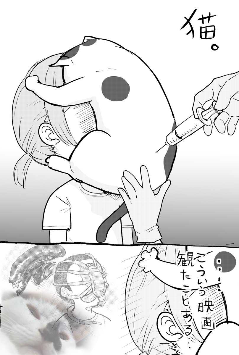 ご主人とのアツい攻防 動物病院に連れてかれるペットの反応が面白い 5選 ニュースパス ご主人とのアツい攻防 動物病院に連れてかれるペットの反応が面白い 5選 ニュースパス