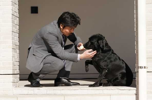 今回のもみ消し作戦は犬の替え玉 山田涼介主演 もみ消して冬 第2話あらすじ ニュースパス