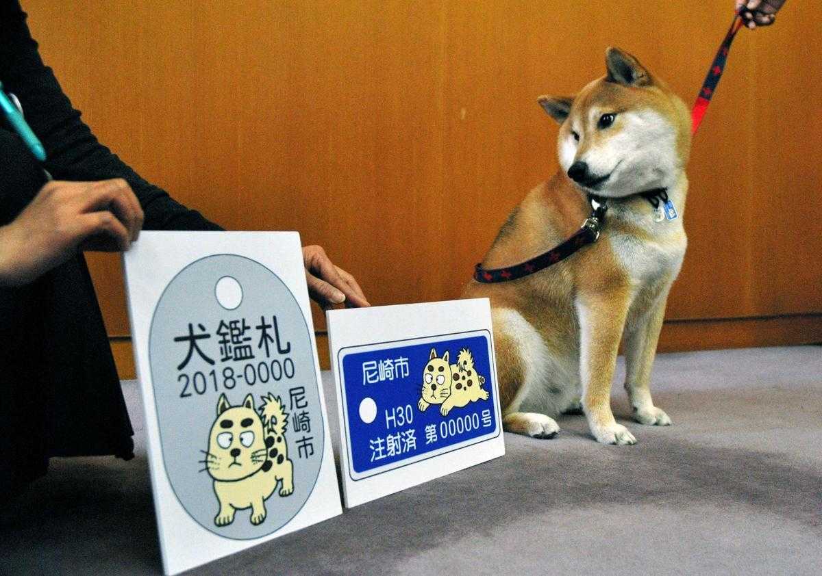 忍たま乱太郎 原作者が犬鑑札デザイン 尼崎市 W D Z ｘ つぶやき 独り言 日記