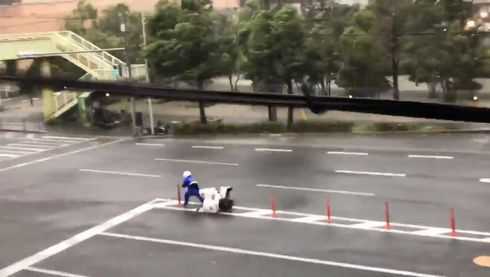 台風時にピザの配達バイクが立ち往生 休みにすべき と批判沸く 各ピザチェーンの方針は ニュースパス