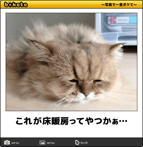 吹いたら負け 電車で読んだら危険なネコの爆笑ボケて10選 ニュースパス