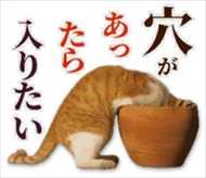 うっうっ 涙 もう無理かも 残念すぎるネコ のlineスタンプが人生のいろいろな場面で使えそう ニュースパス うっうっ 涙 もう無理かも 残念すぎるネコ のlineスタンプが人生のいろいろな場面で使えそう ニュースパス
