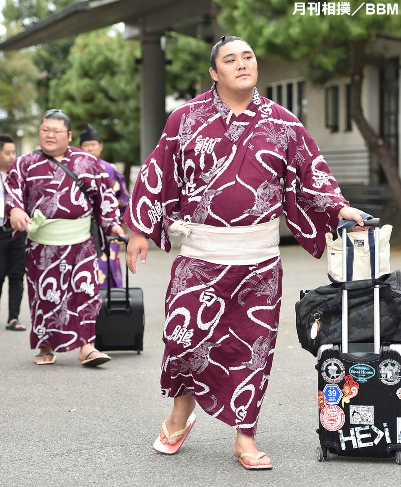 大相撲 白鵬浴衣 反物 一反 オリンピック柄 番付表付き - 生地