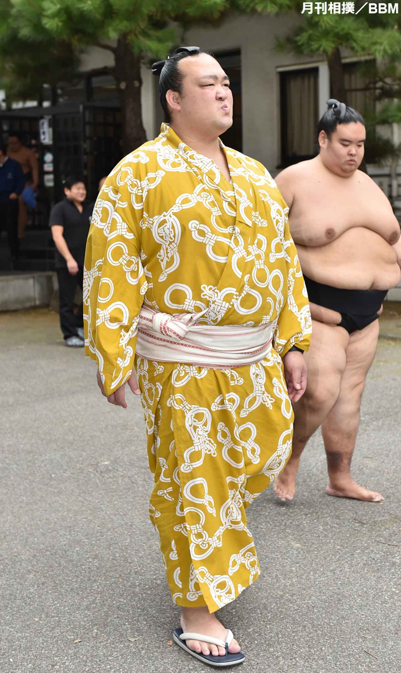 商品一覧の通販 【仕立て上がり】白鵬 浴衣 63連勝記念 相撲 着物 力士