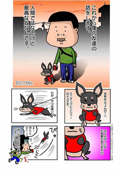 飼うまでは 犬が死んだくらいで と思ってたけど おっさん漫画家と3本足ワンコの漫画がグッとくる ニュースパス 飼うまでは 犬が死んだくらいで と思ってたけど おっさん漫画家と3本足ワンコの漫画がグッとくる ニュースパス