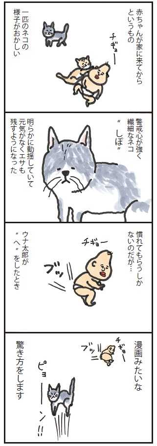 赤ちゃんのおならに 猫がとった驚きの反応 うなぎ家の稚魚 ニュースパス