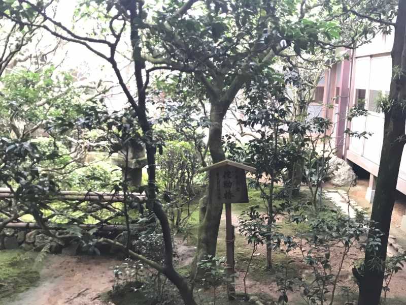 京都 エリザベス女王も絶賛 石庭が魅力の禅寺 龍安寺 をご紹介 ニュースパス 京都 エリザベス女王も絶賛 石庭が魅力の禅寺 龍安寺 をご紹介 ニュースパス