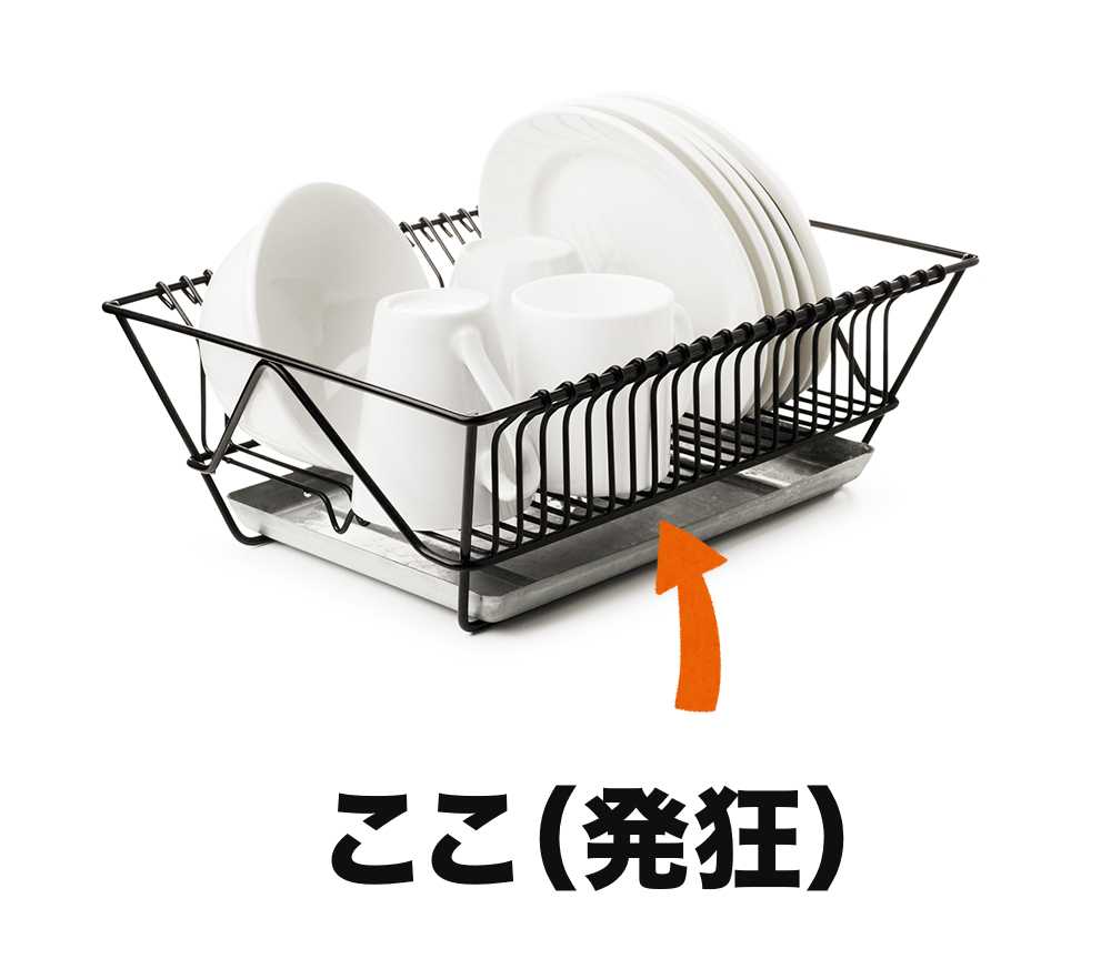 洗った皿を乗せるアレ のヌメヌメを解決するかもしれないアイデア ニュースパス 洗った皿を乗せるアレ のヌメヌメを解決するかもしれないアイデア ニュースパス