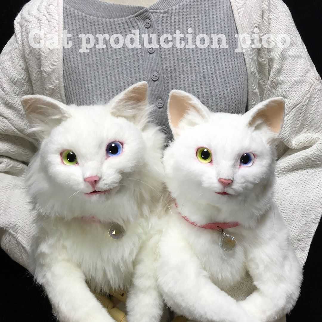 猫ちゃんが背負われてる と思ったら ガチのリュック だった ニュースパス 猫ちゃんが背負われてる と思ったら ガチのリュック だった ニュースパス
