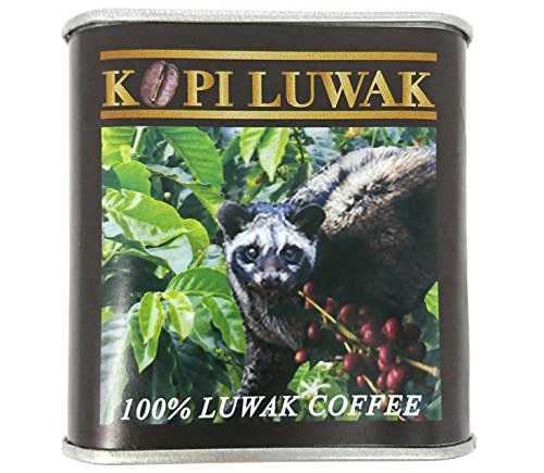 インドネシア産 レギュラーコーヒー 豆 コピ・ルアク KOPI LUWAK 50g 