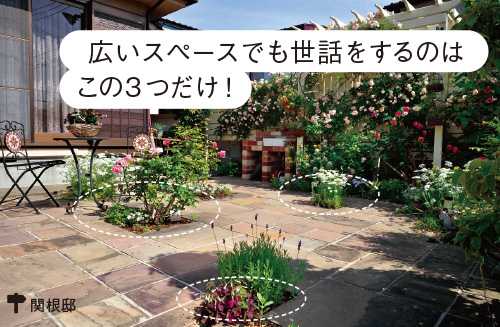 画像3: ローメンテナンスの庭の実例 植栽スペースを限定した手間をかけない庭づくり