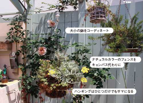 画像2: ミニチュアガーデンの実例 縦空間を活用して狭い庭を快適に演出