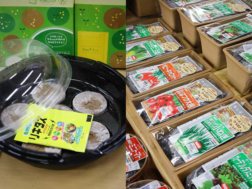 開店70年を迎える サカタのタネ ガーデンセンター横浜 の規模感がスゴイです Enjoy Herbal Life