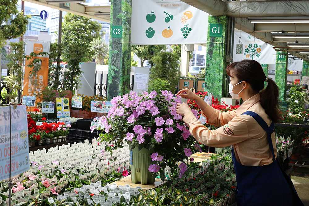 サカタのタネ ガーデンセンター横浜