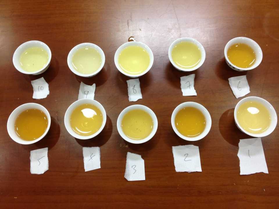 オリジナルフレーバー茶コンテスト１０作品